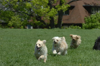 May19_07_171.JPG