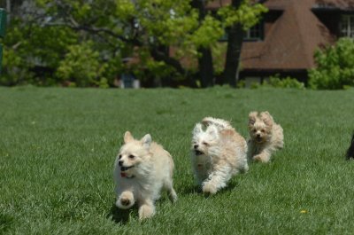 May19_07_172.JPG