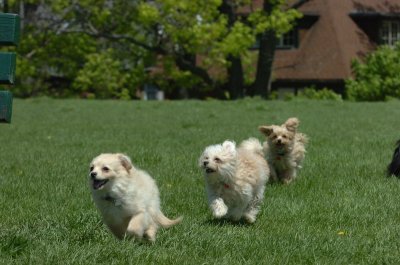 May19_07_173.JPG