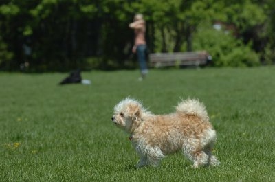 May19_07_174.JPG