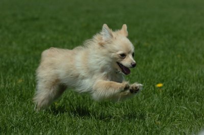 May19_07_185.JPG
