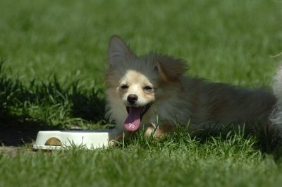 May19_07_189.JPG