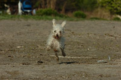 May19_07_201.JPG
