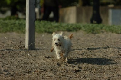 May19_07_226.JPG