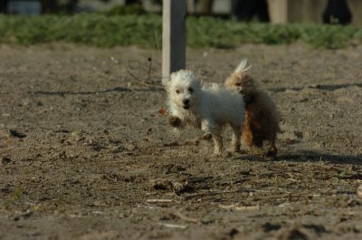 May19_07_228.JPG