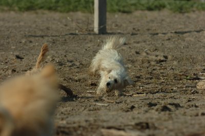 May19_07_231.JPG