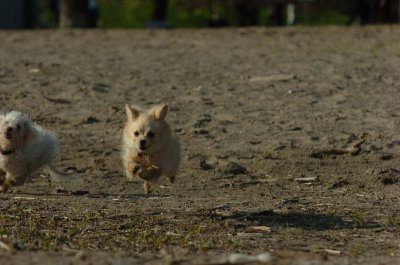 May19_07_238.JPG