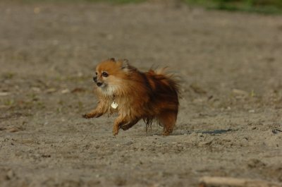 May19_07_259.JPG