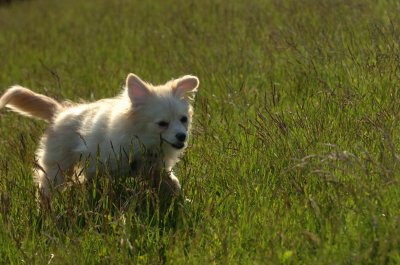 May21_07_202.JPG