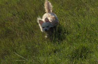 May21_07_203.JPG