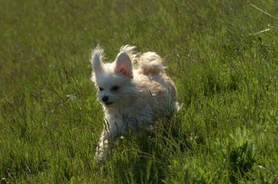 May21_07_204.JPG