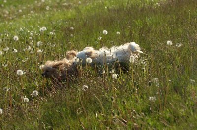 May21_07_230.JPG