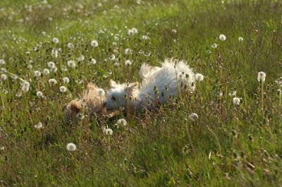 May21_07_231.JPG
