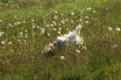 May21_07_232.JPG