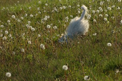 May21_07_234.JPG