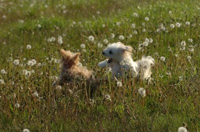 May21_07_236.JPG
