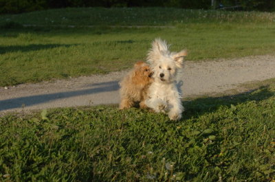 May21_07_254.JPG