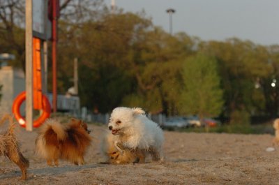 May23_07_646.JPG