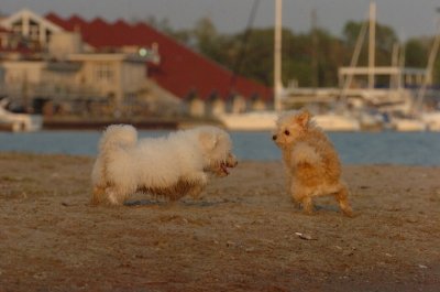 May23_07_670.JPG