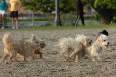 May23_07_332.JPG