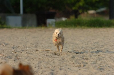 May23_07_335.JPG