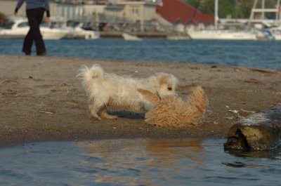 May23_07_348.JPG