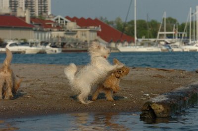 May23_07_353.JPG