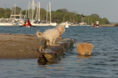 May23_07_398.JPG