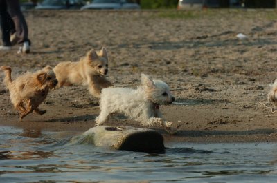 May23_07_010.JPG