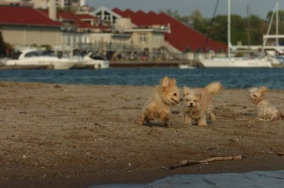 May23_07_079.JPG