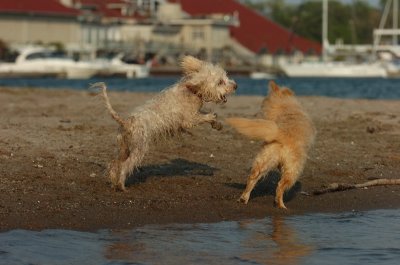 May23_07_110.JPG