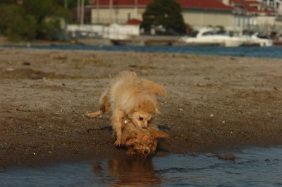 May23_07_116.JPG