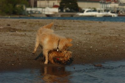 May23_07_117.JPG