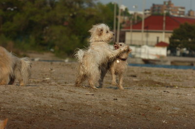 May23_07_120.JPG