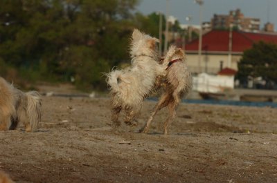 May23_07_121.JPG