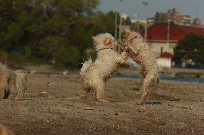 May23_07_122.JPG