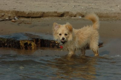 May24_07_330.JPG