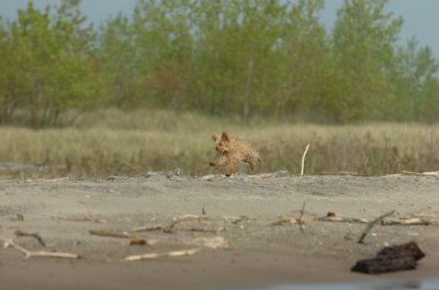 May24_07_341.JPG