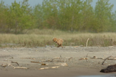 May24_07_342.JPG