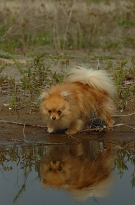 May24_07_391.JPG