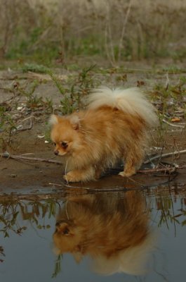 May24_07_392.JPG