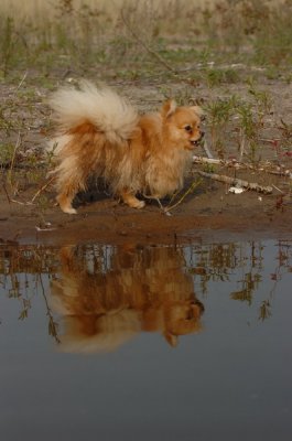 May24_07_411.JPG