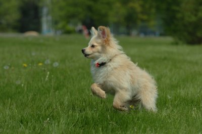 May24_07_171.JPG
