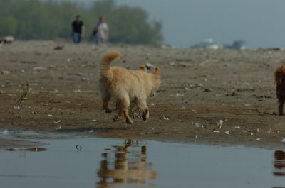 May24_07_201.JPG