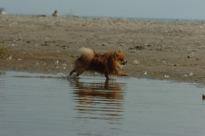 May24_07_228.JPG