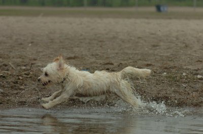 June1_07_042.JPG