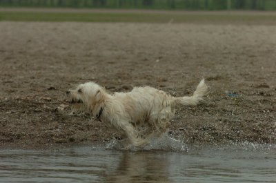 June1_07_043.JPG