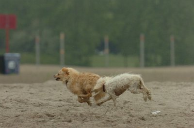 June1_07_045.JPG