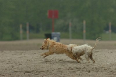 June1_07_046.JPG