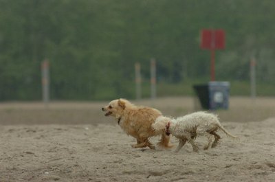 June1_07_047.JPG